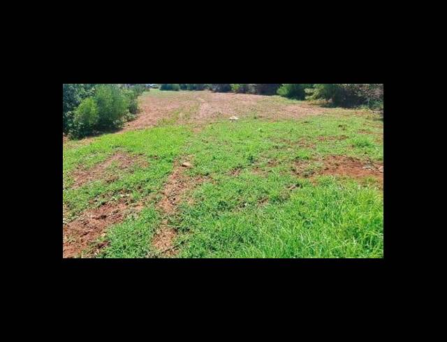 LAND FOR SALE IN DANA BAY